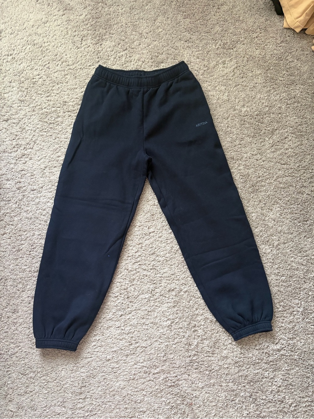 Aritzia Navy Sweat Joggers with Elastic Cuffs